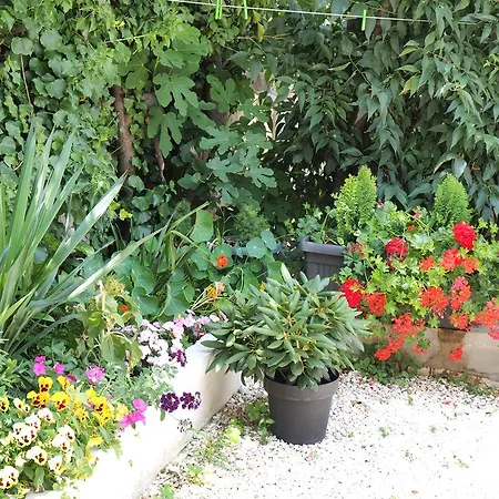 凯普顿埃莫城市公寓