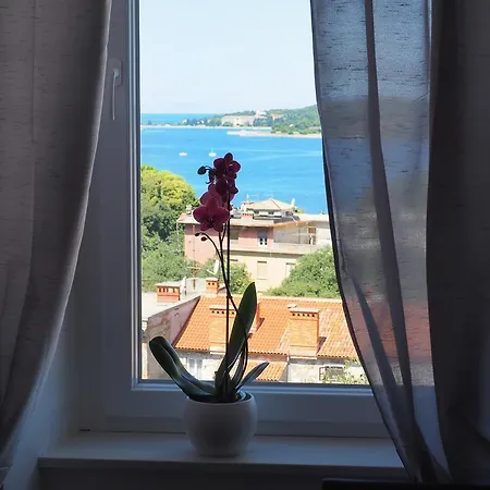 Captain Emo City Apartment *